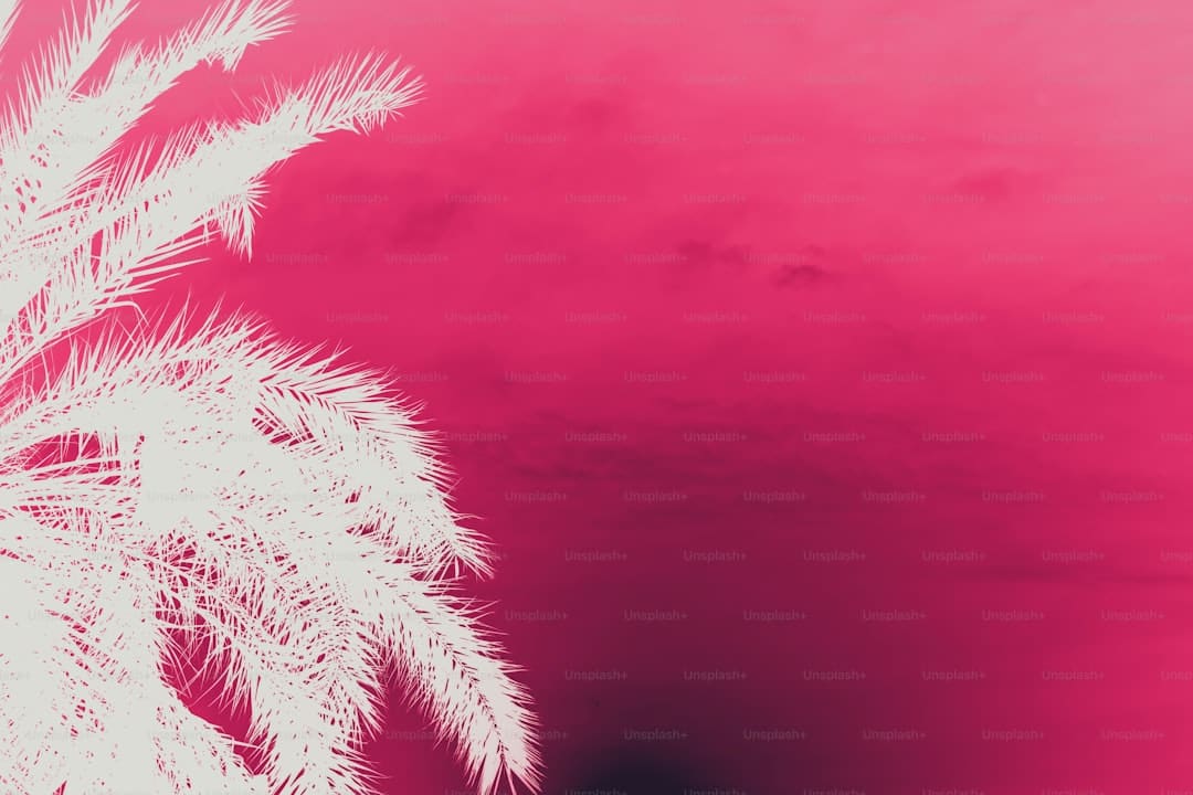 http://upload.mnw.cn/2025/0825/1756115226864.jpg